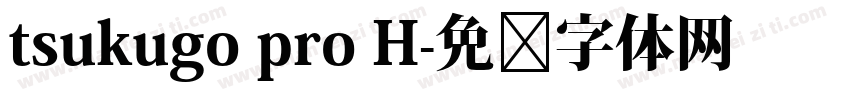 tsukugo pro H字体转换